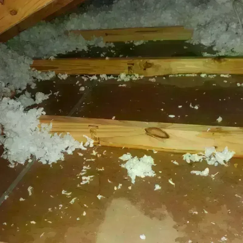 Attic Water Damage in Augusta, NY