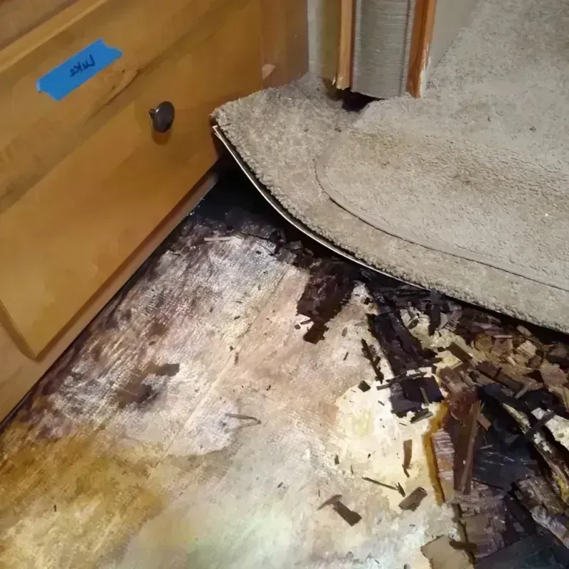 Wood Floor Water Damage in Augusta, NY